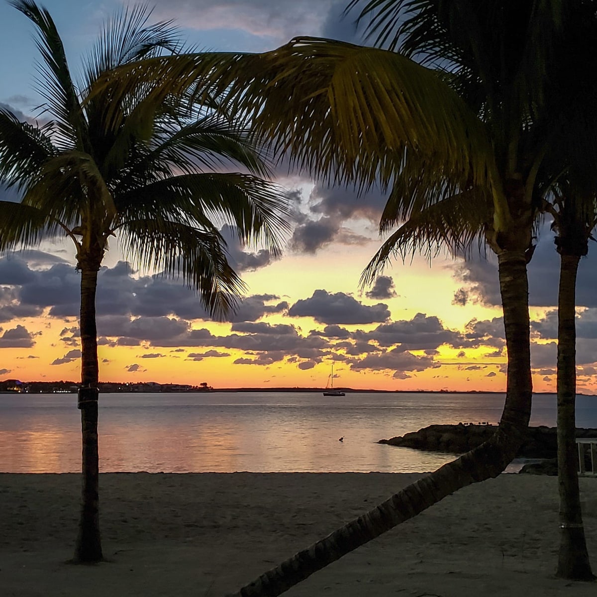 Pleasant Oasis - A Peaceful Escape near the Sea