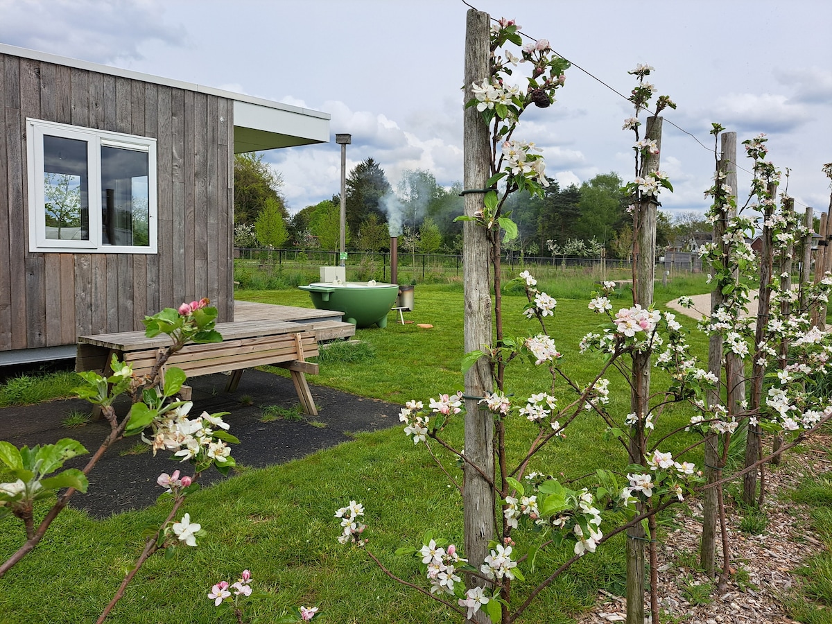 Sustainable stay in a cabana at De Weitens