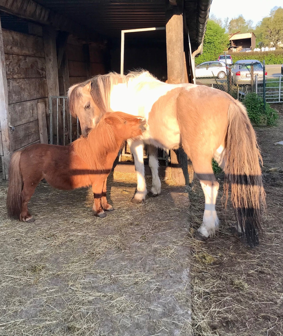 Ferienwohnung Bienenstock