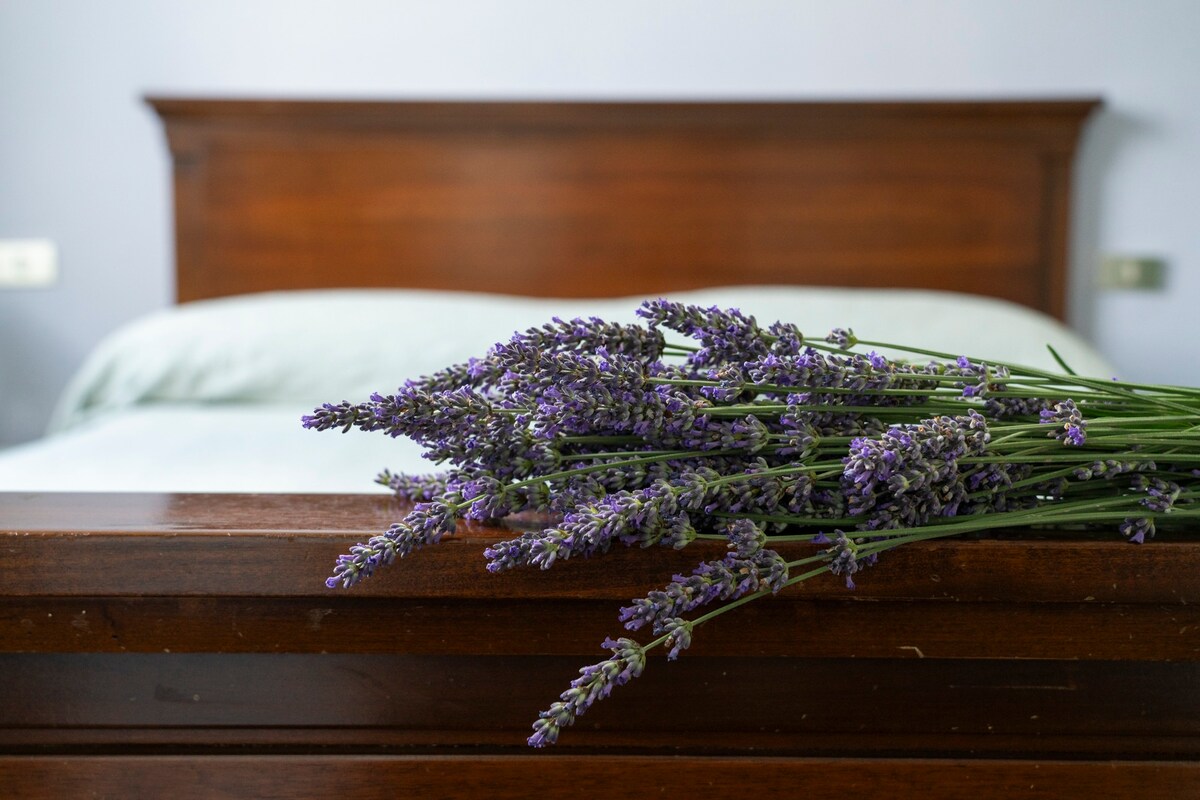 [ten minutes from the lake] Cascina Lavender