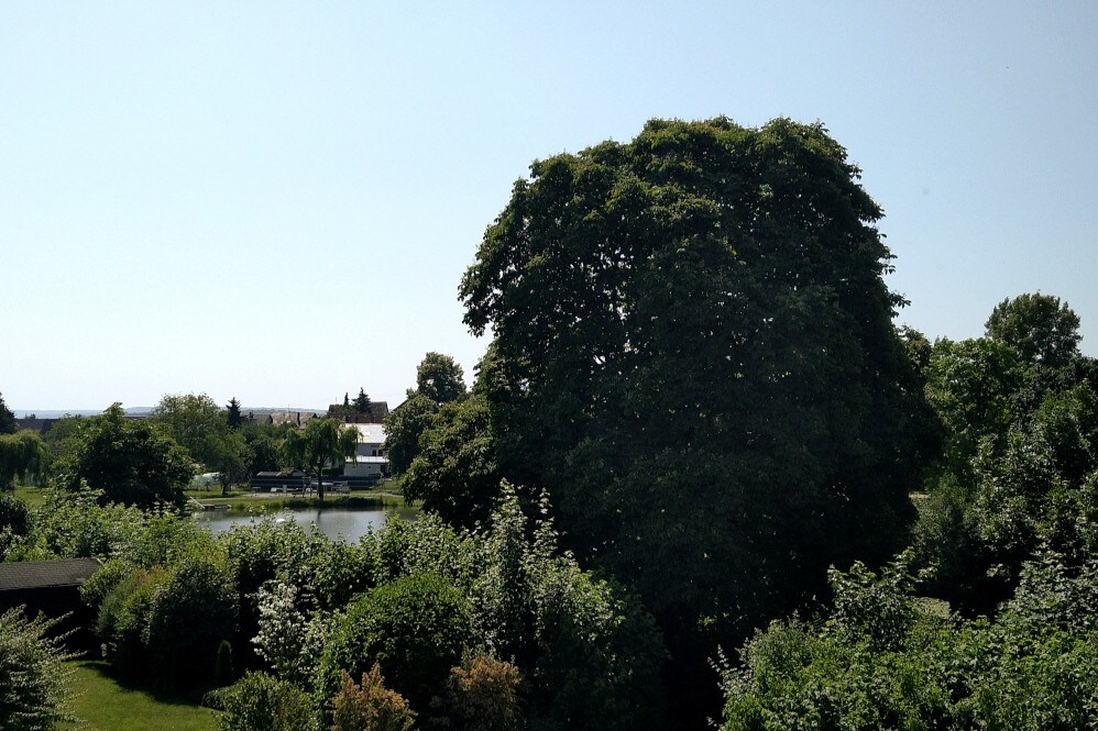 Haus am Elsenzer See mit Familienrabatt