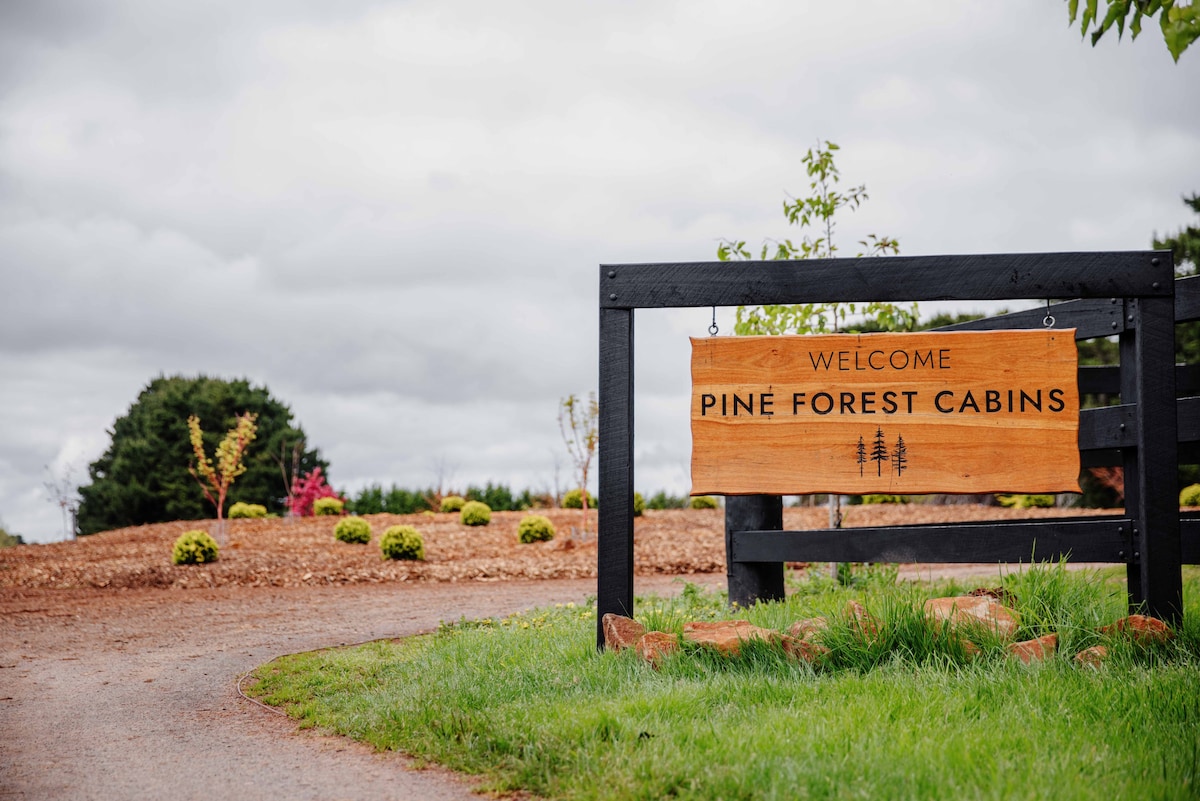 Pine Forest - luxury tiny cabins, idyllic setting