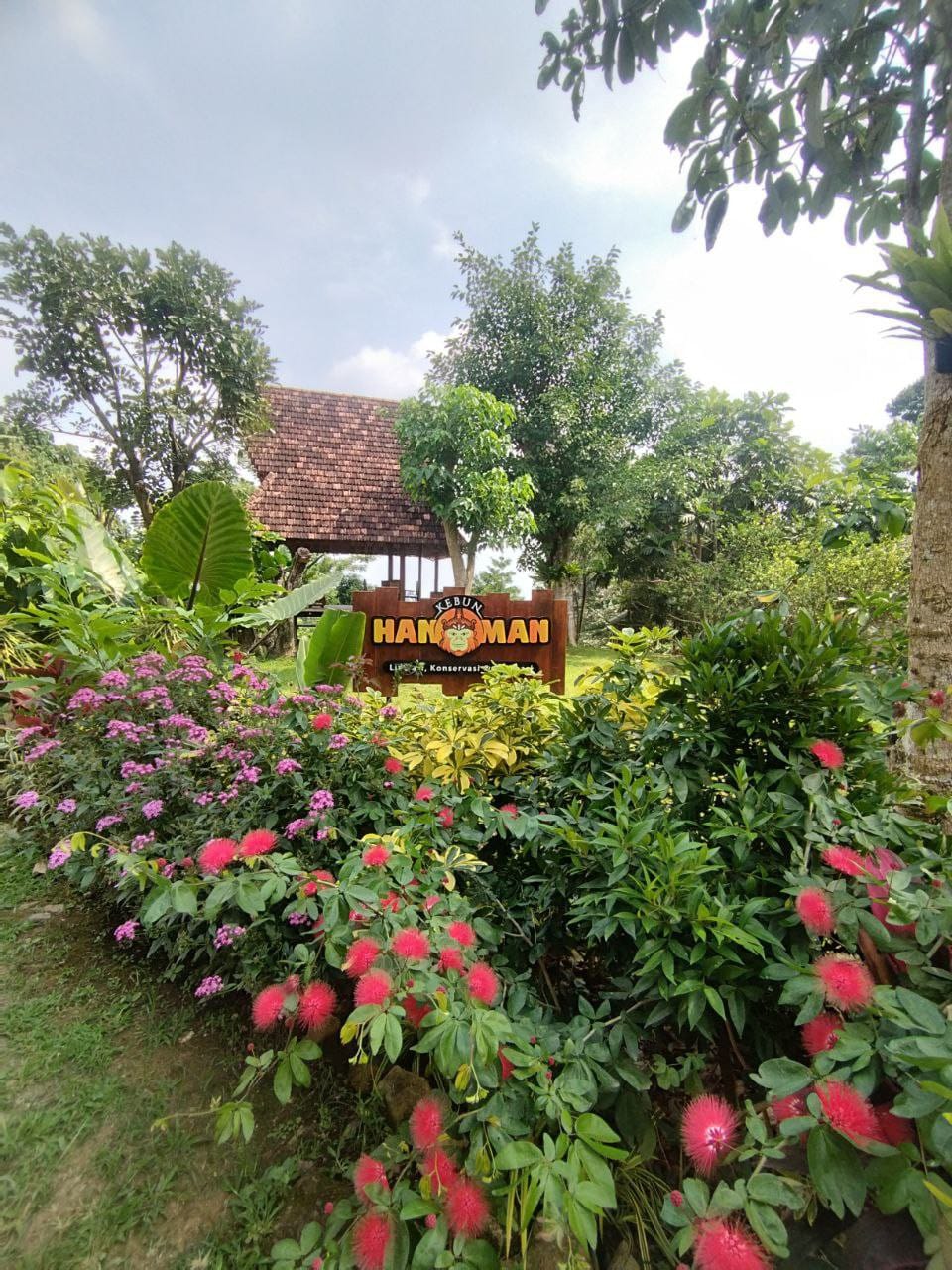 Kebun Hanoman