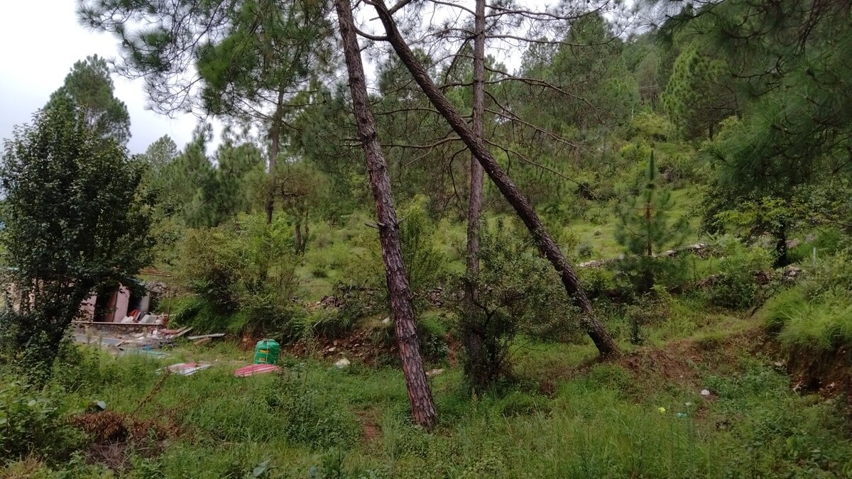 Mud/wood House with river view