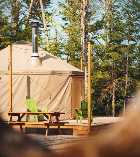 Pine Yurt