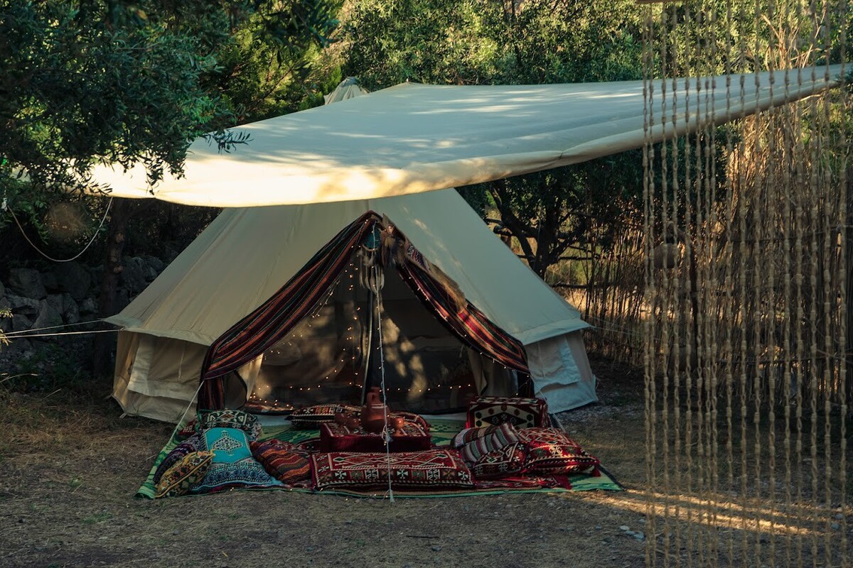 Glamping Canvas  / Half Board