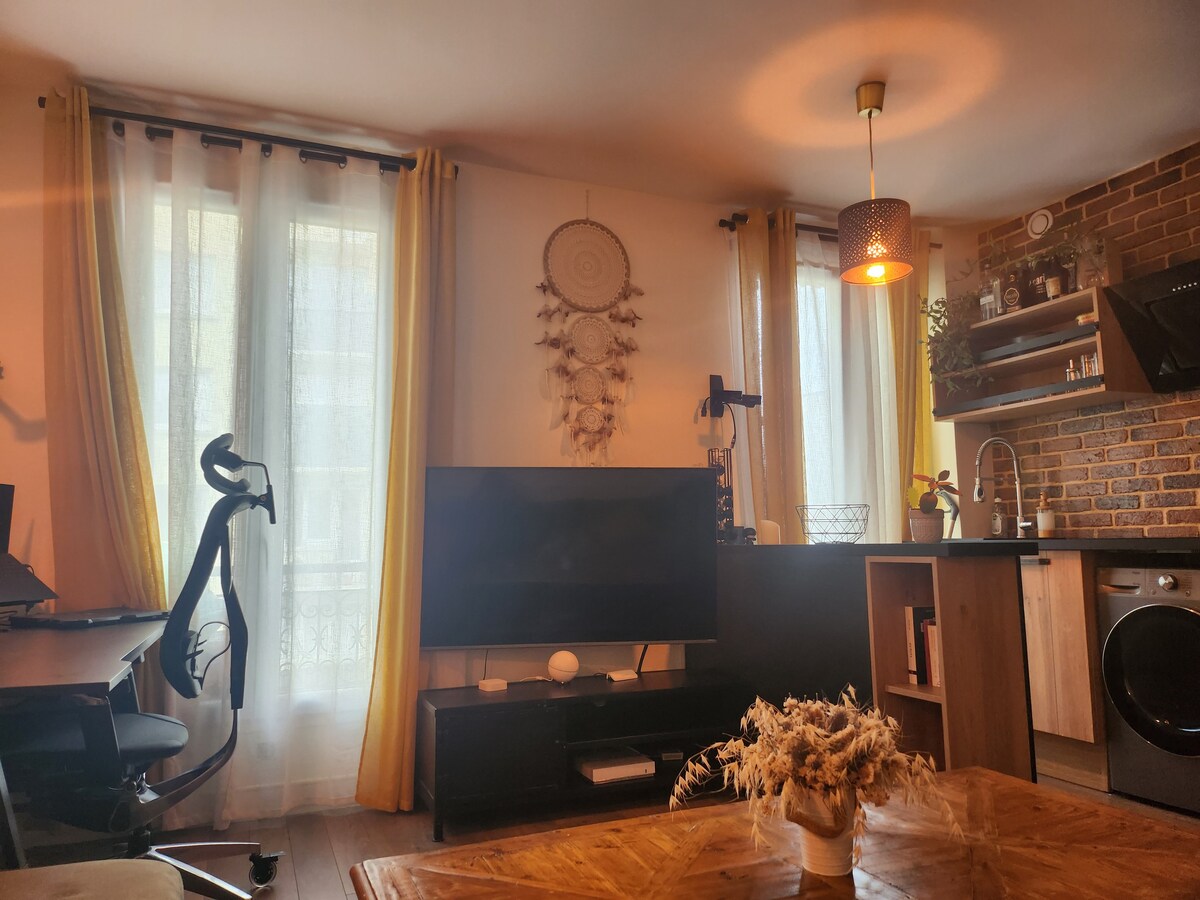 Cozy apartment in Paris