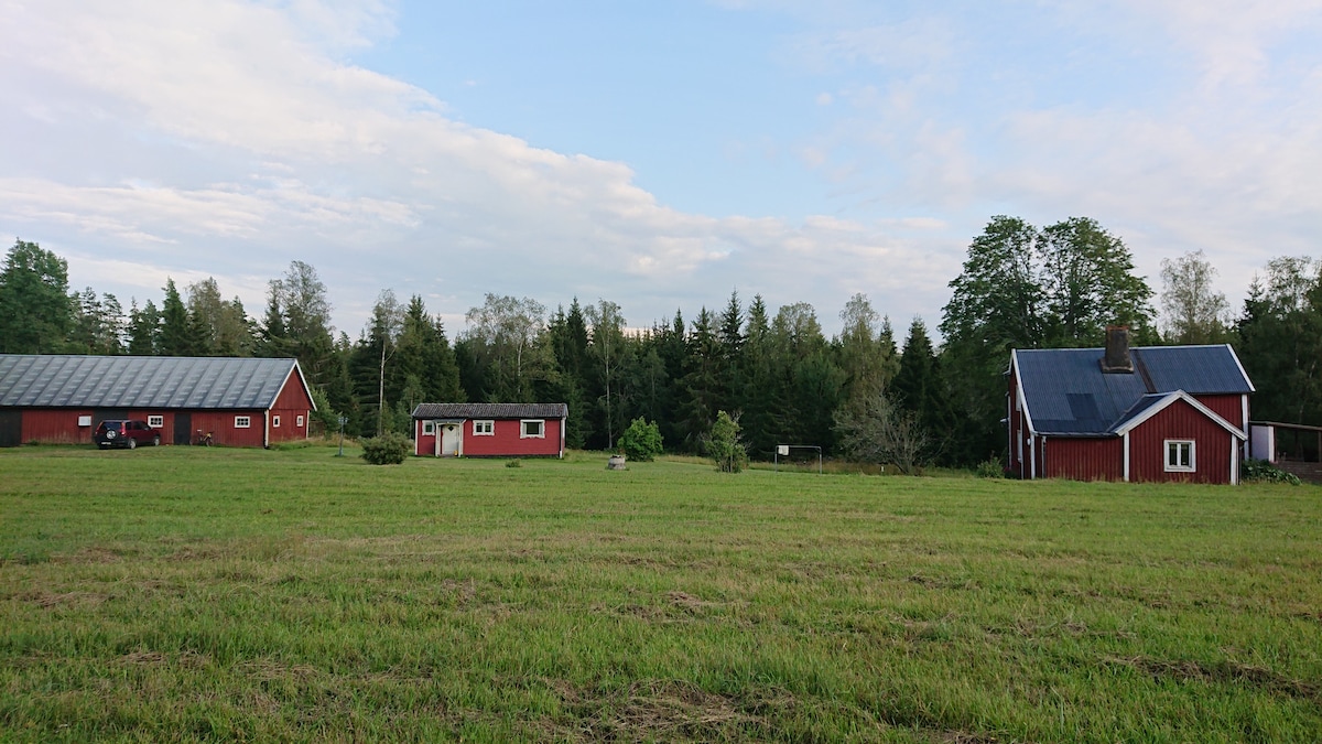 Rofyllt med endast skog och vatten i sikte