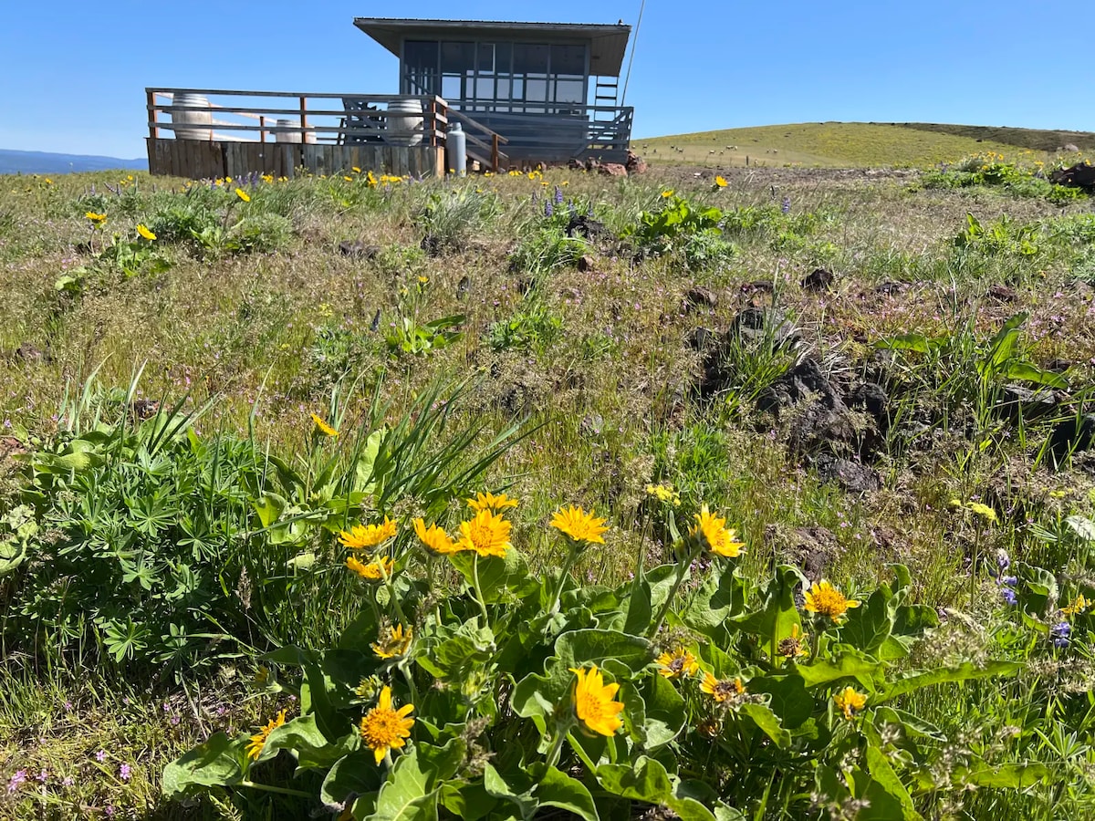 Lorena Butte Lookout Tower