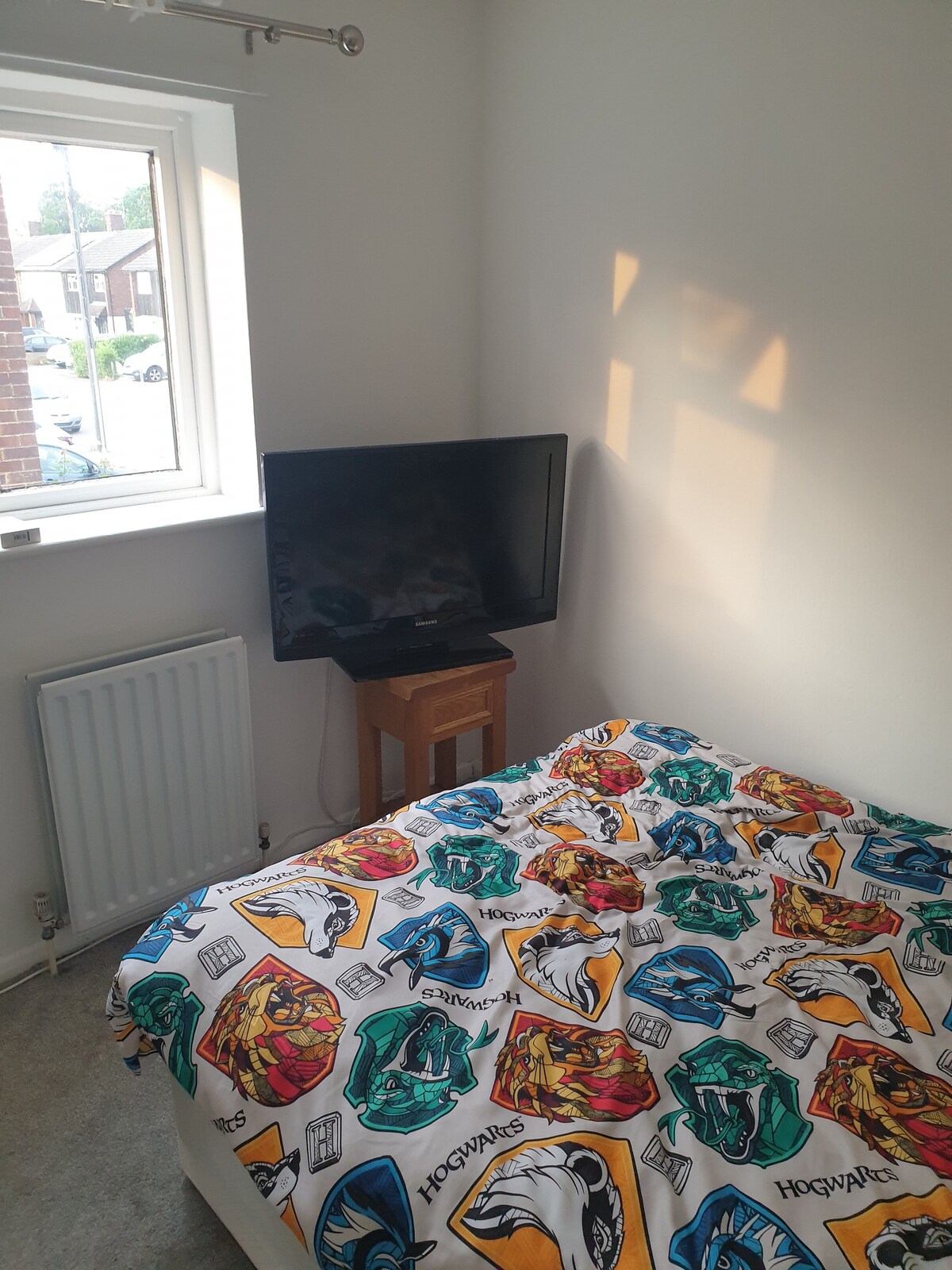 Harry Potter themed Double Room tv shared house