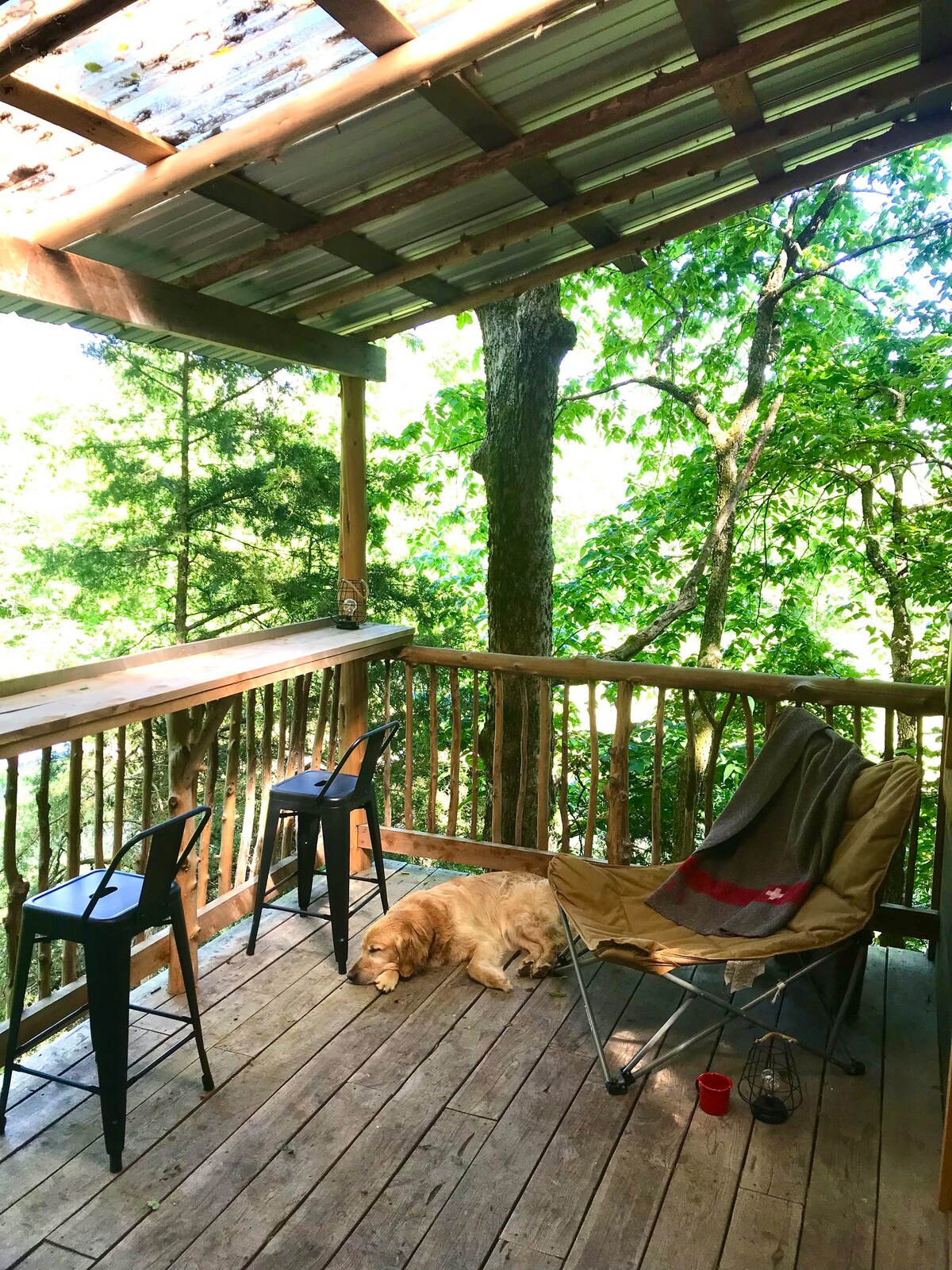 Rustic treehouse in Ozarks