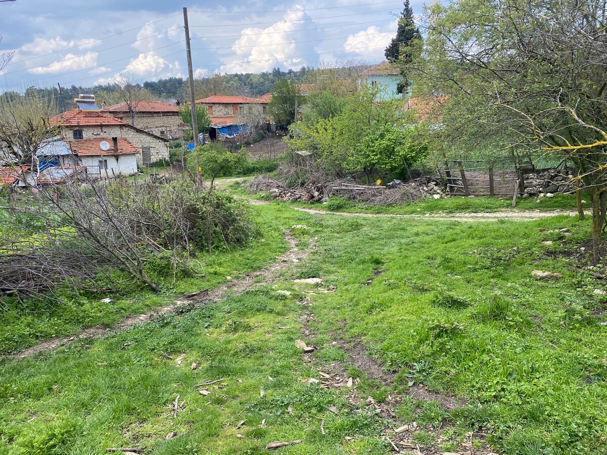 Doğa içinde huzurlu köy ortamı