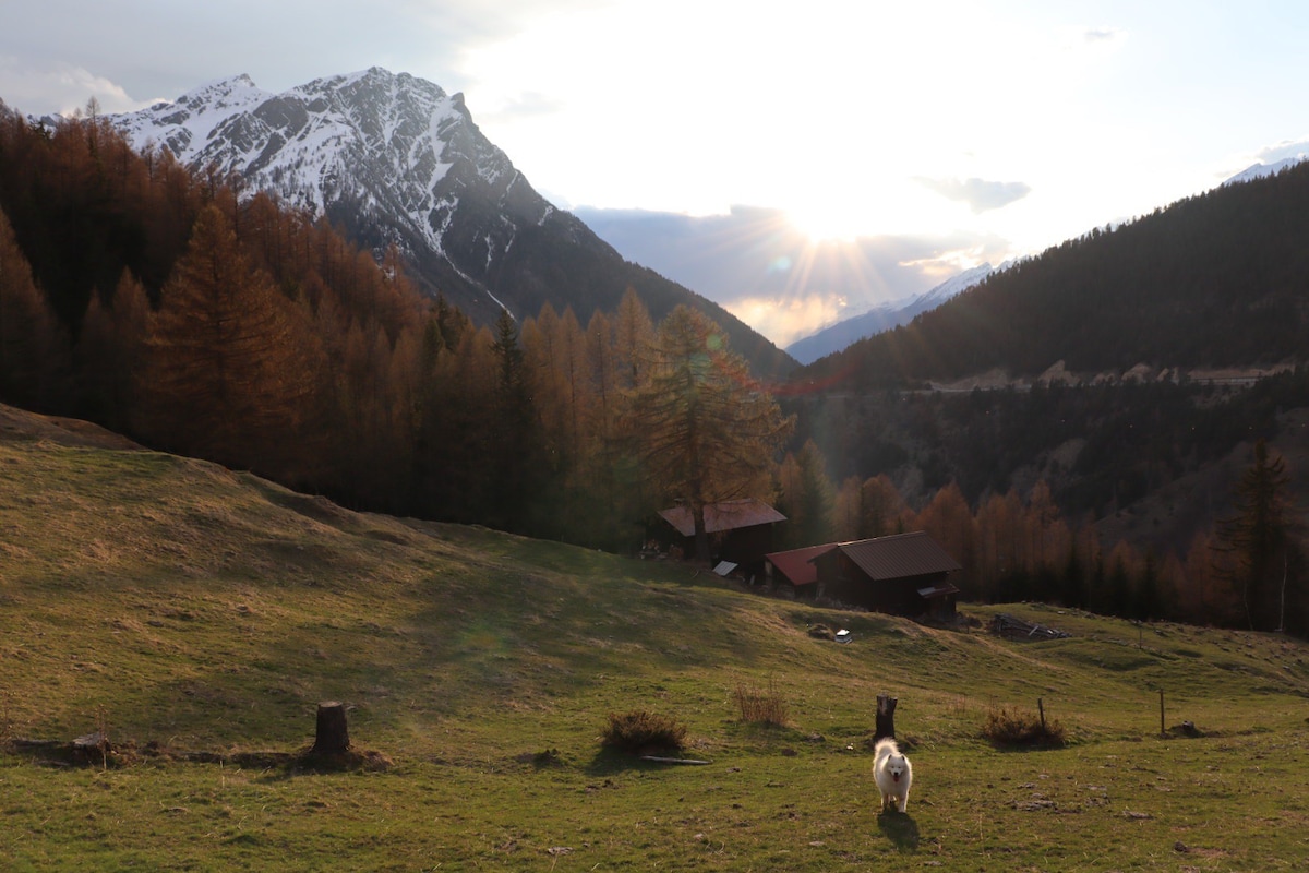 Abgeschiedene Hütte in der Natur