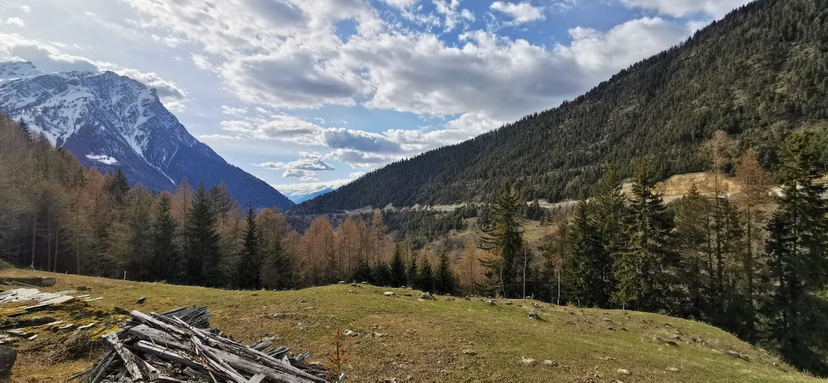 Abgeschiedene Hütte in der Natur