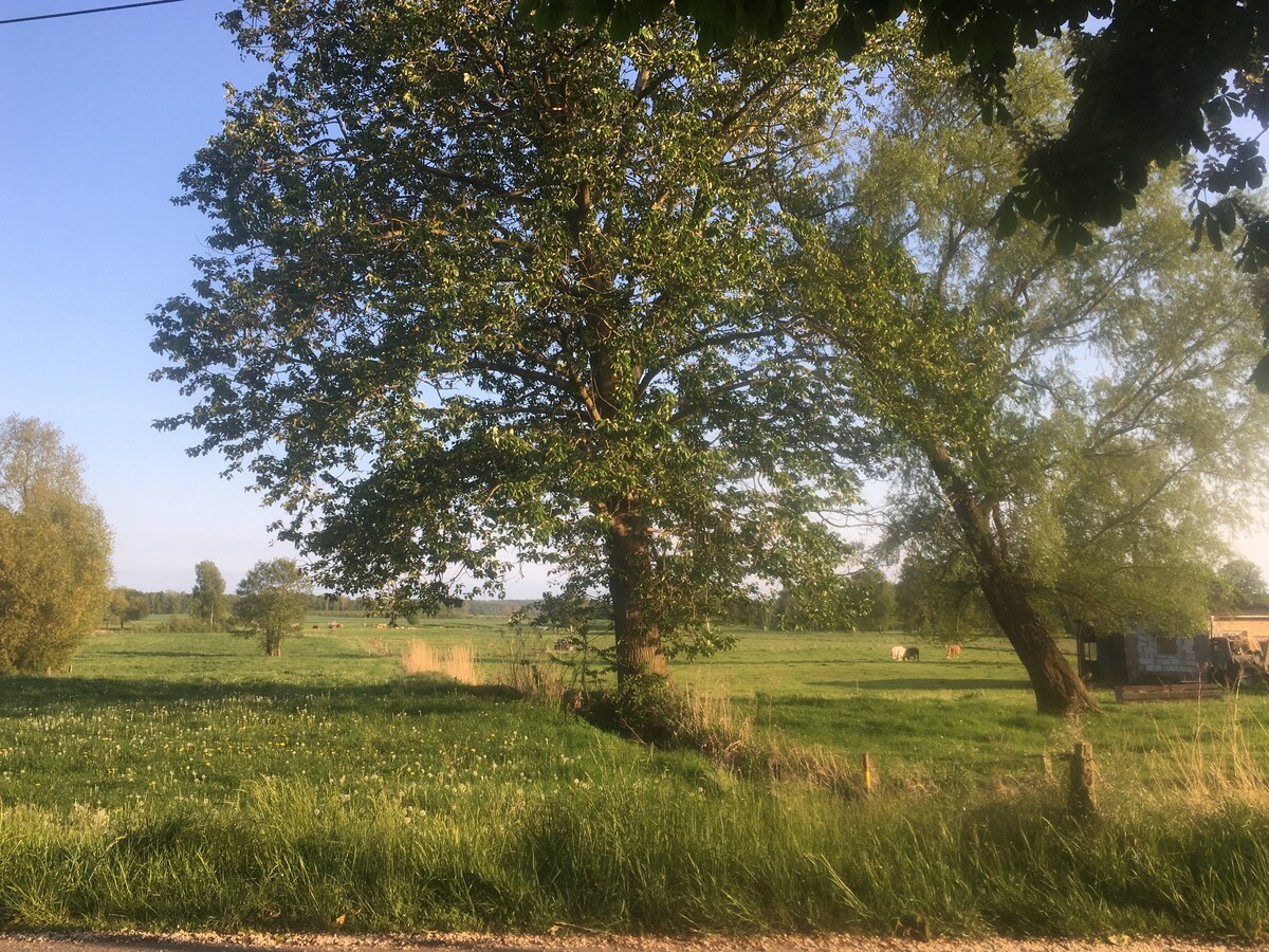 Für Naturliebhaber + Kids: FeWo für 2(3) am Bodden