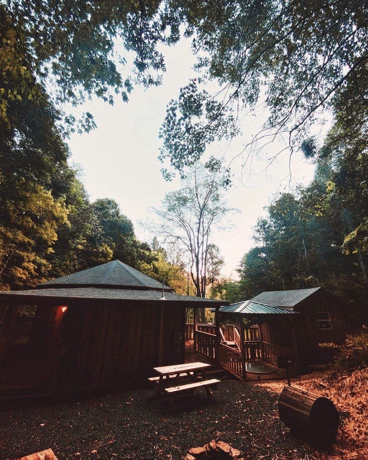 The Birch Yurt Bungalow