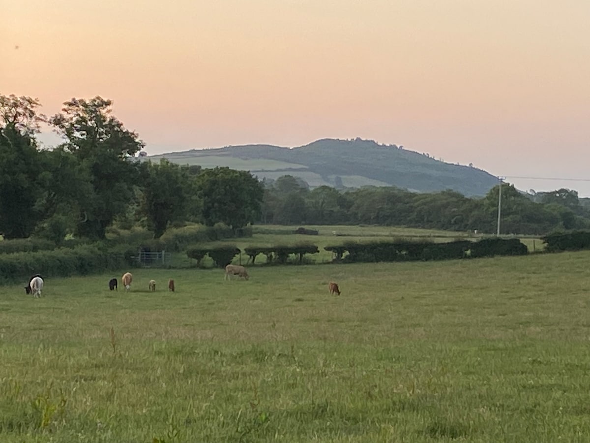 Long View Guest Accommodation