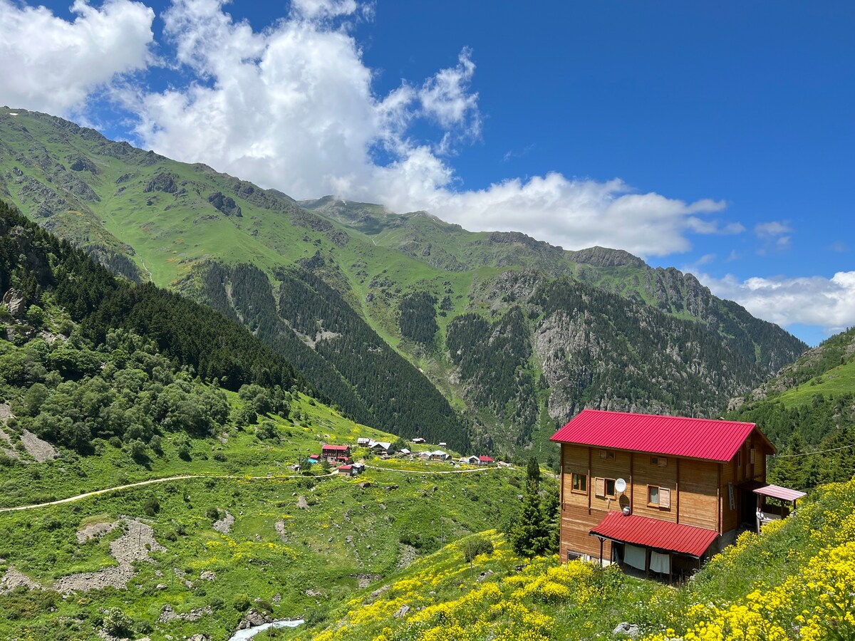 Dağ Manzaralı Yayla Evinde Kiralık Daire