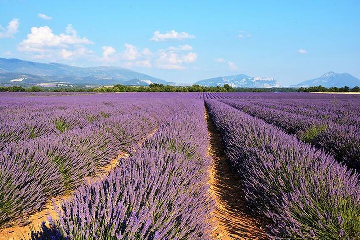 Gréoux-les-Bains的民宿