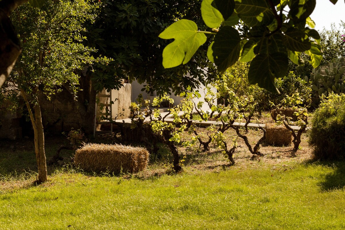 Casale alle Vigne - Verdeca