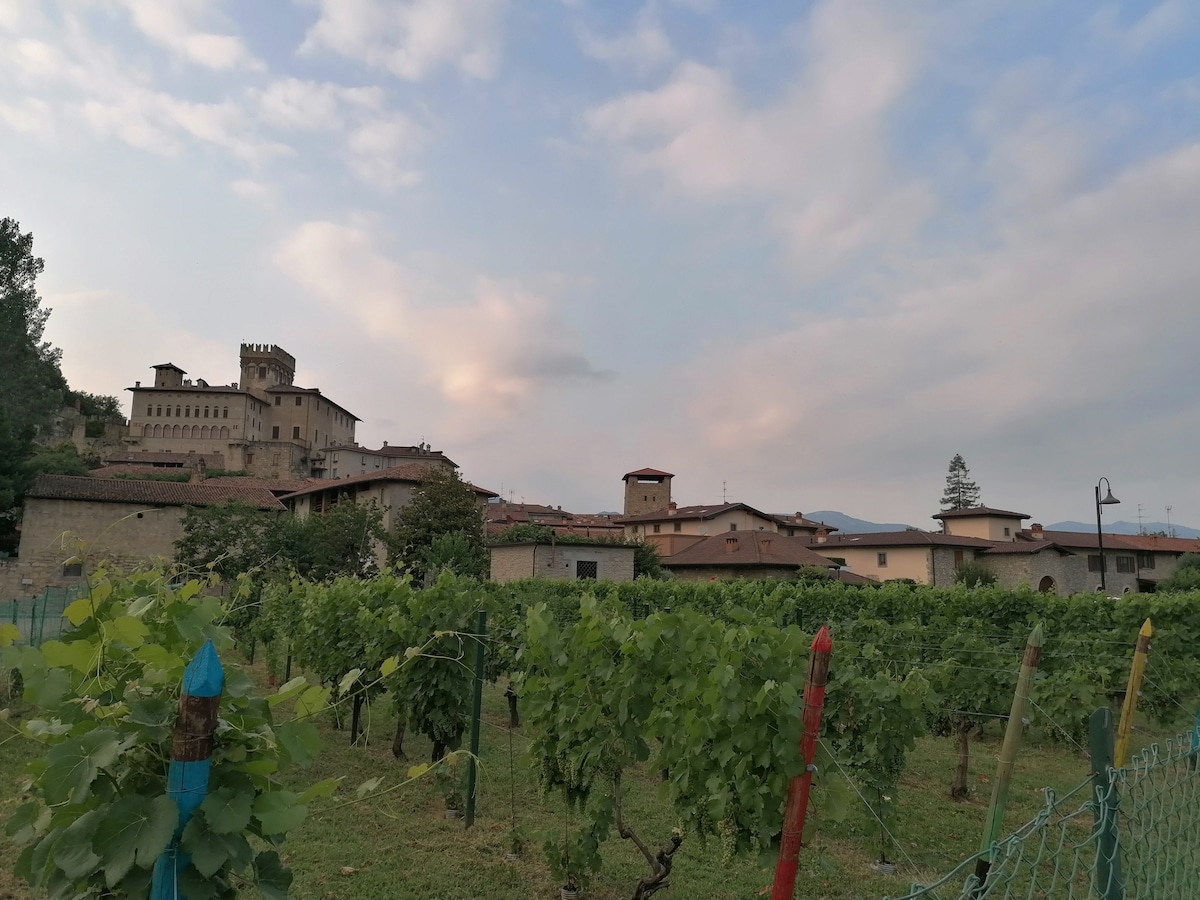 Casa Sveva - Appartamento vista castello