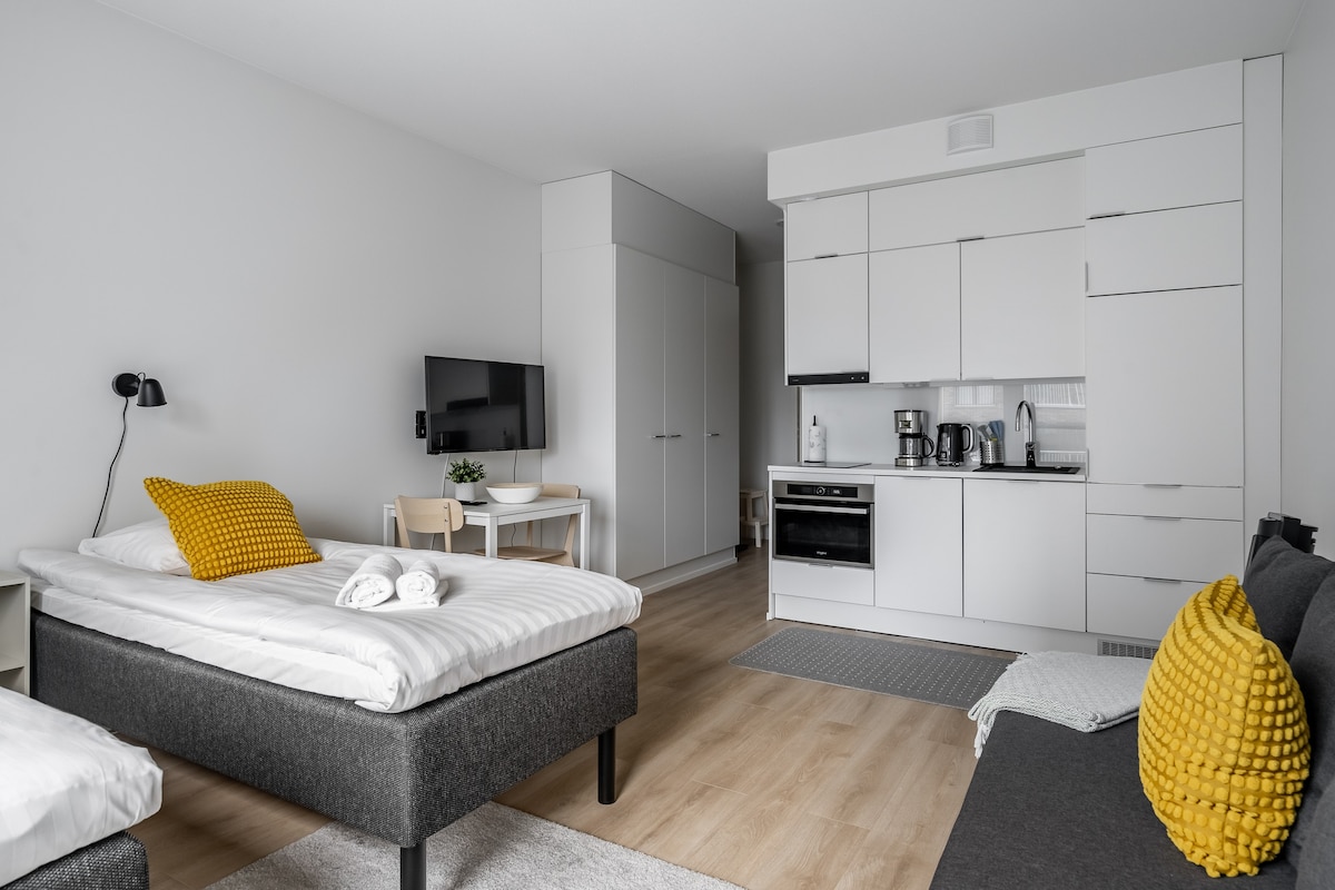 Homelike Studio Apartment with Sofa Bed, Parking