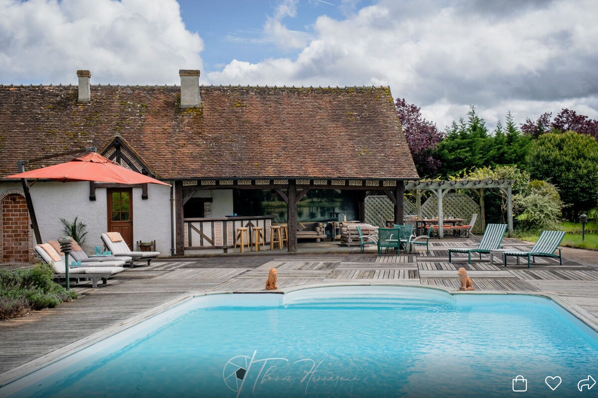Beautiful typical Mansion Sologne and pool 14 pax
