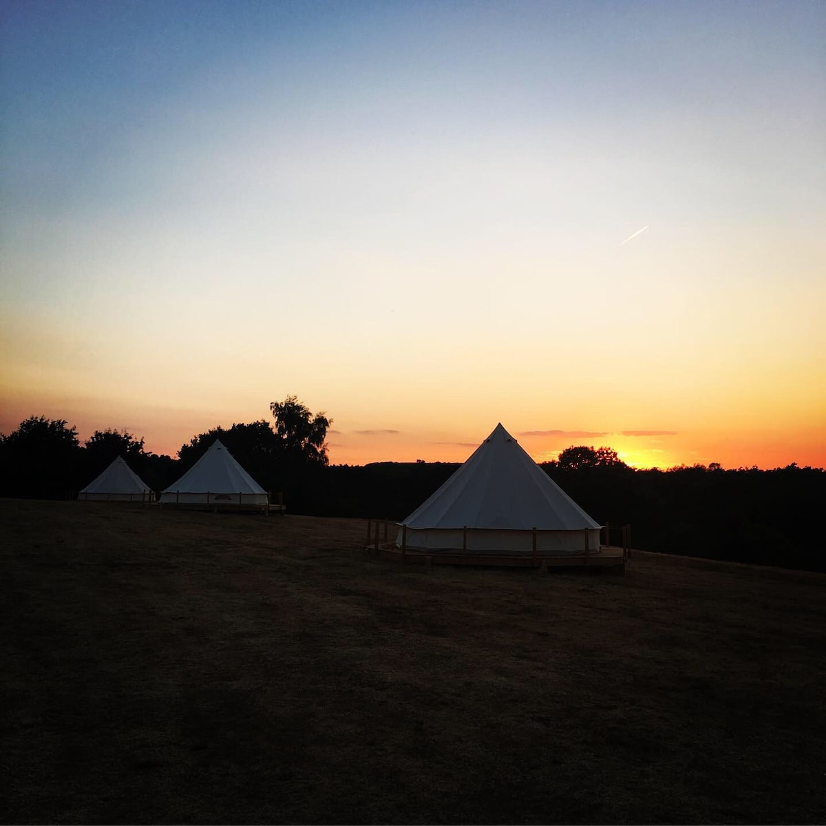 Bell tents at Top Farm