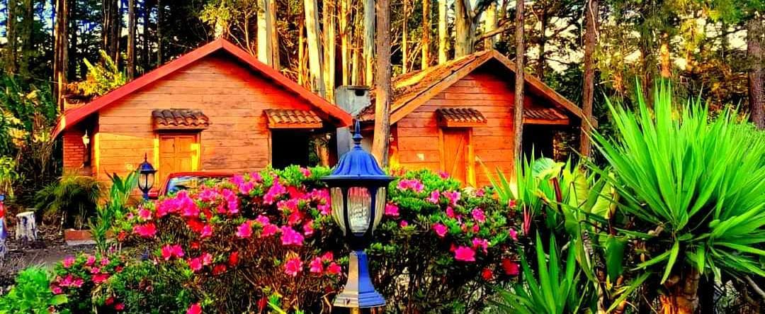 Cabañas en la montaña, con bosques y áreas verdes