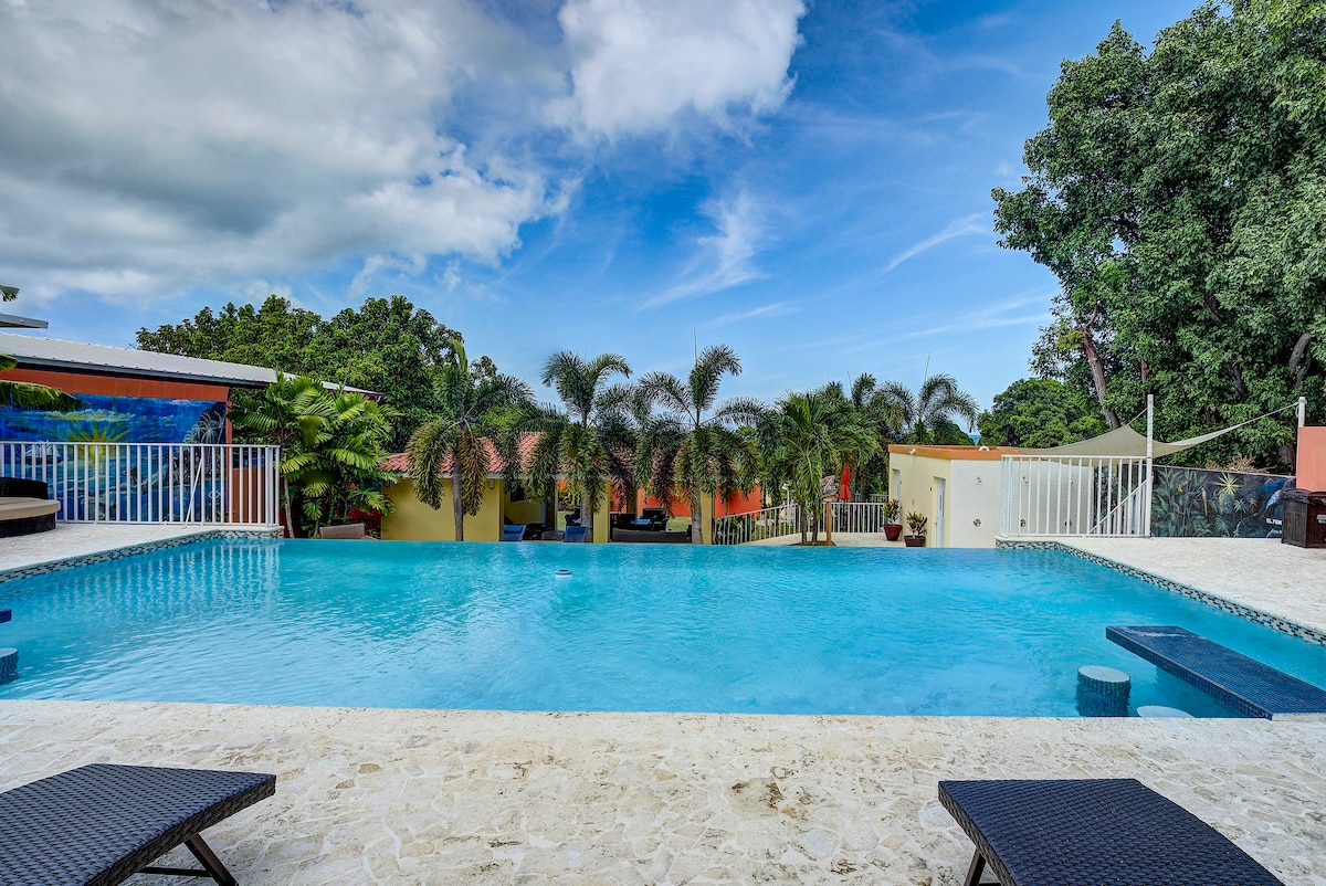 Villa Jardin - Infinity Pool and Backyard Oasis