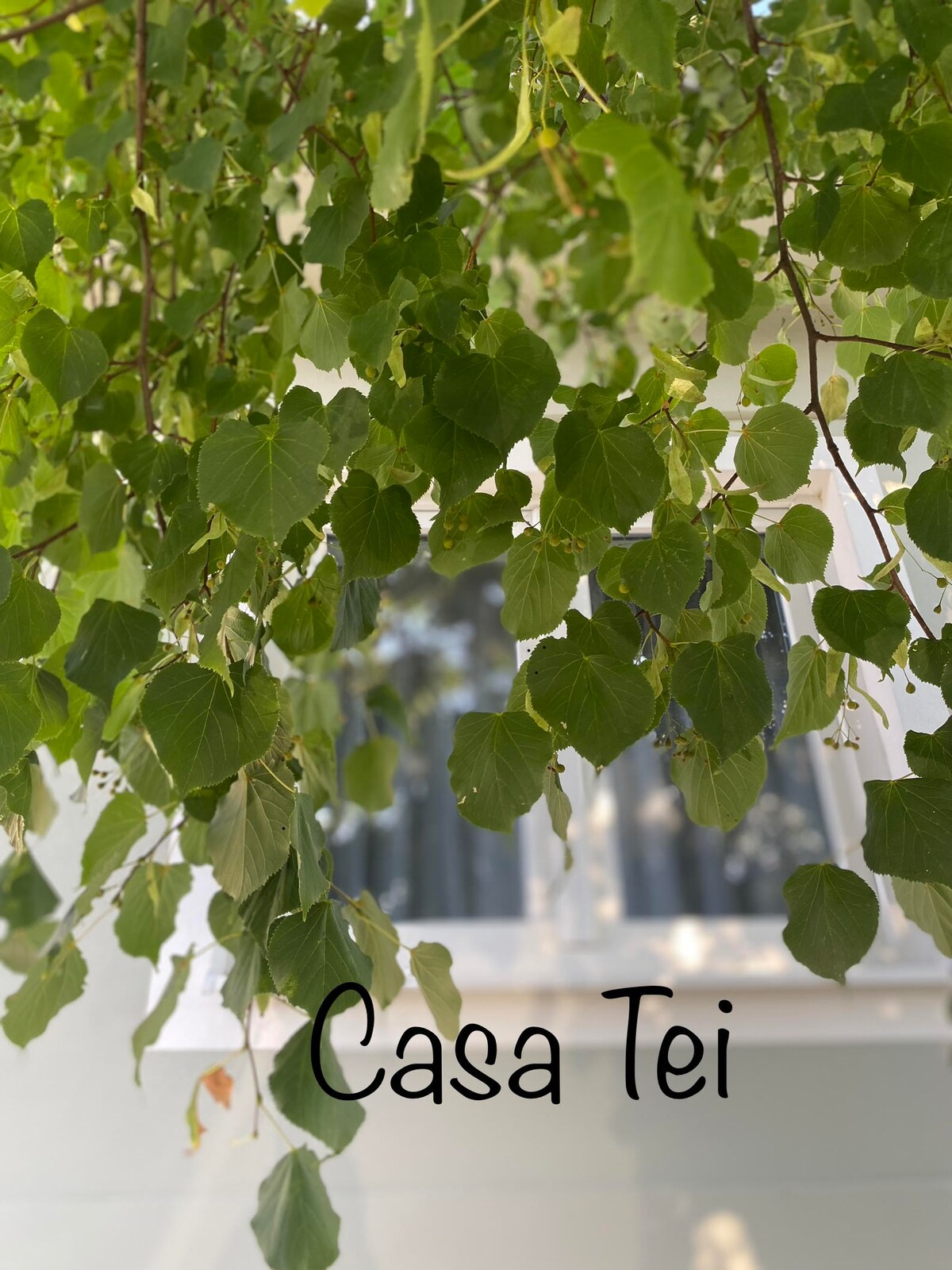 Casa Tei （阁楼房间配有空调）