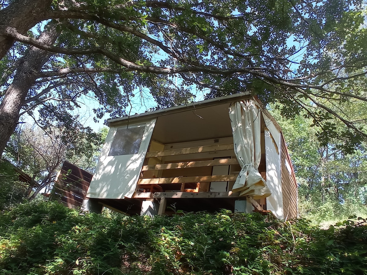 Tithome vue sur arbres