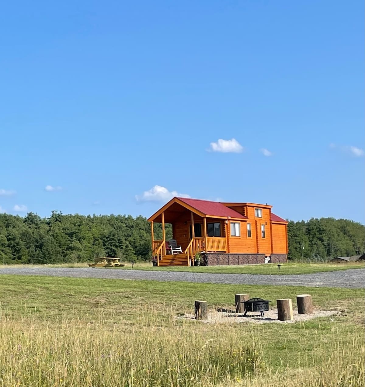 Cabin on Seneca Wine Trail Vineyard/Lake View  2