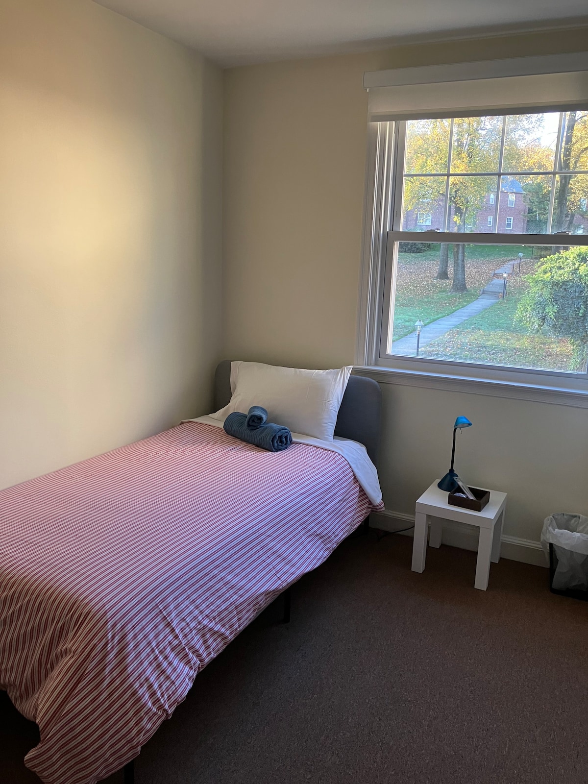 Spacious bedroom in Wayne, PA, close to colleges