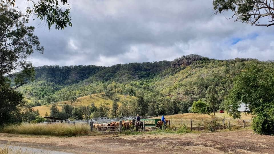 Eighteen Mile Homestead