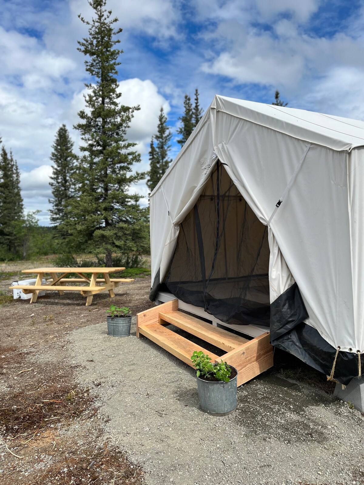 The Miner Wall Tent at Stump Creek B&B