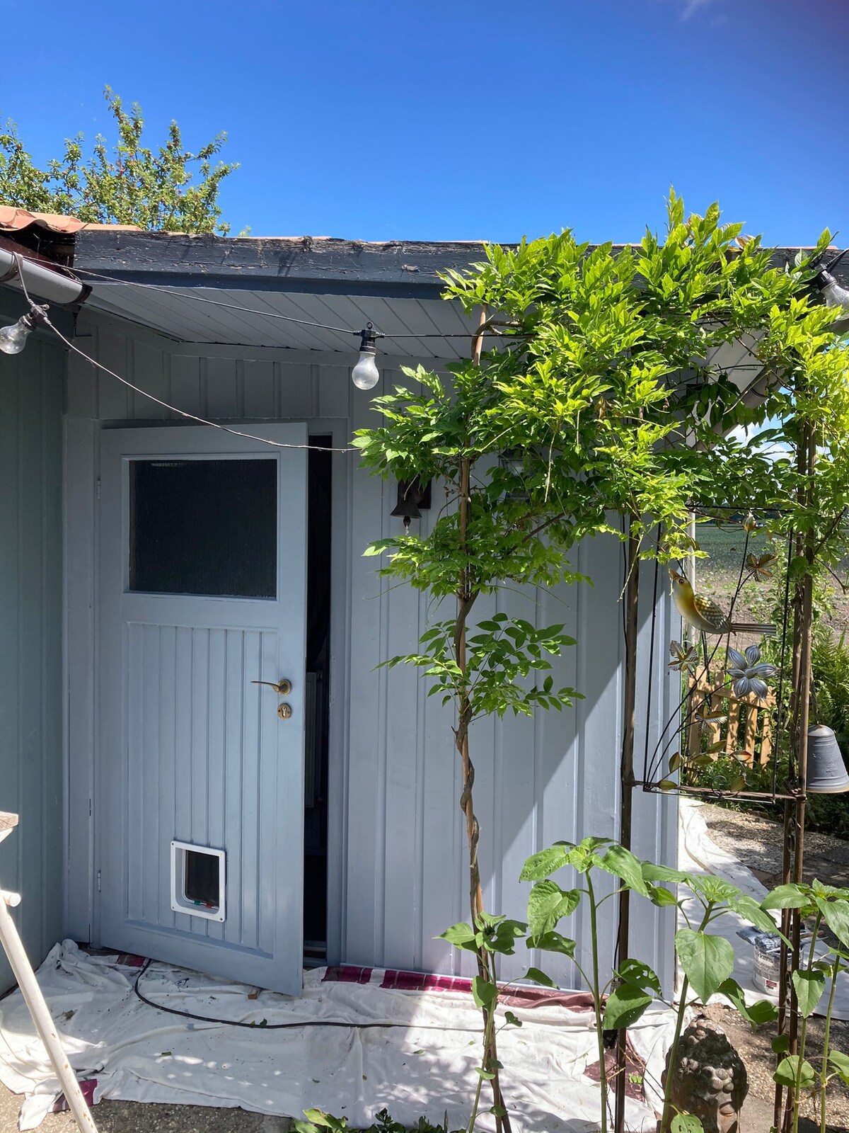 Rustic Cottage near IJsselmeer markermeer