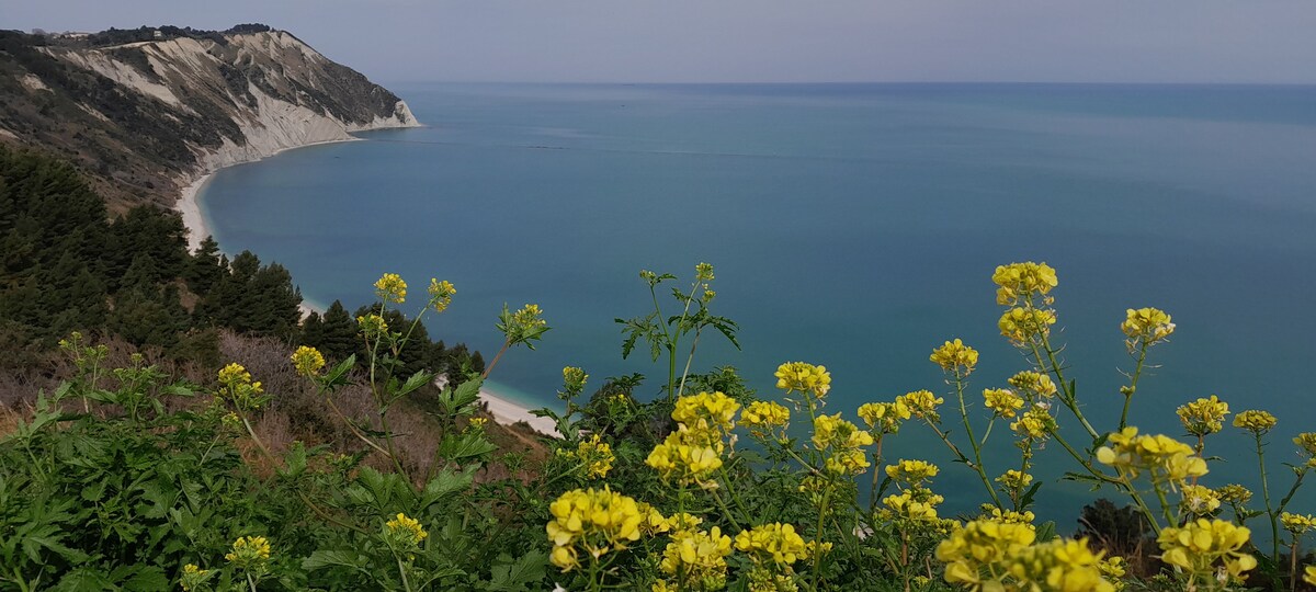 La pietra del Poggio