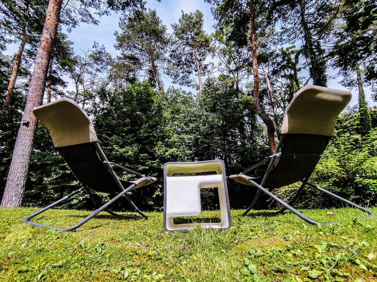 Immersi nel bosco della Pinetina (Como)