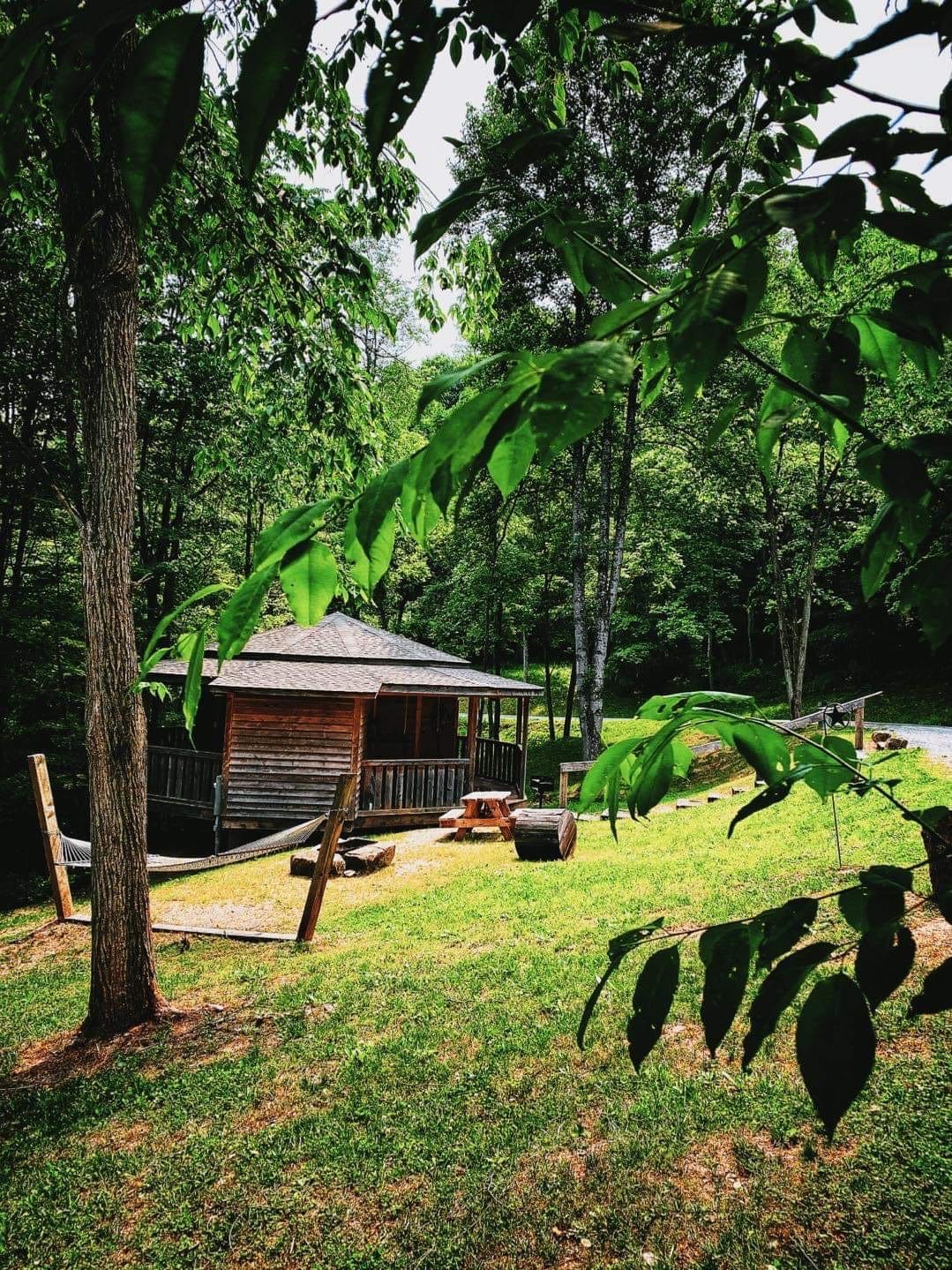 Tulip Poplar Yurt