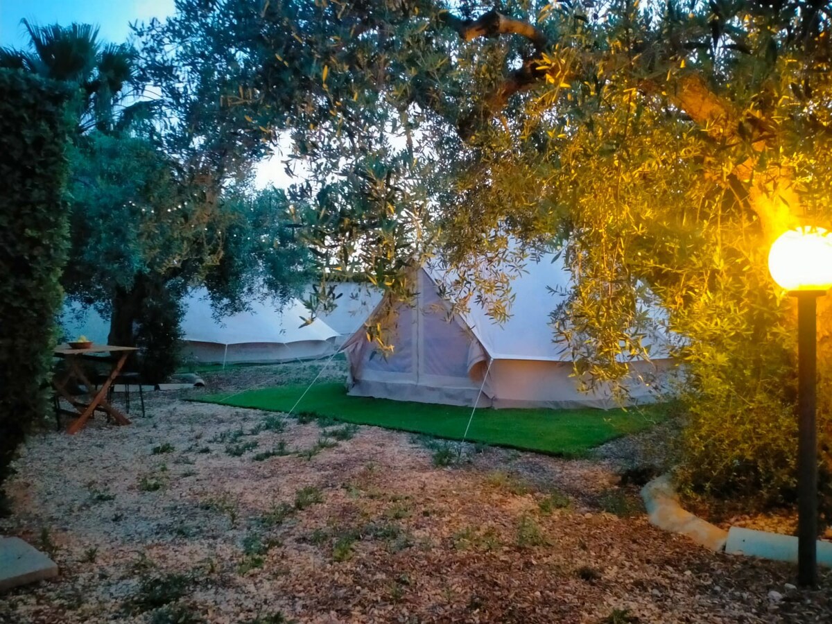 Tenda Sahara Verde