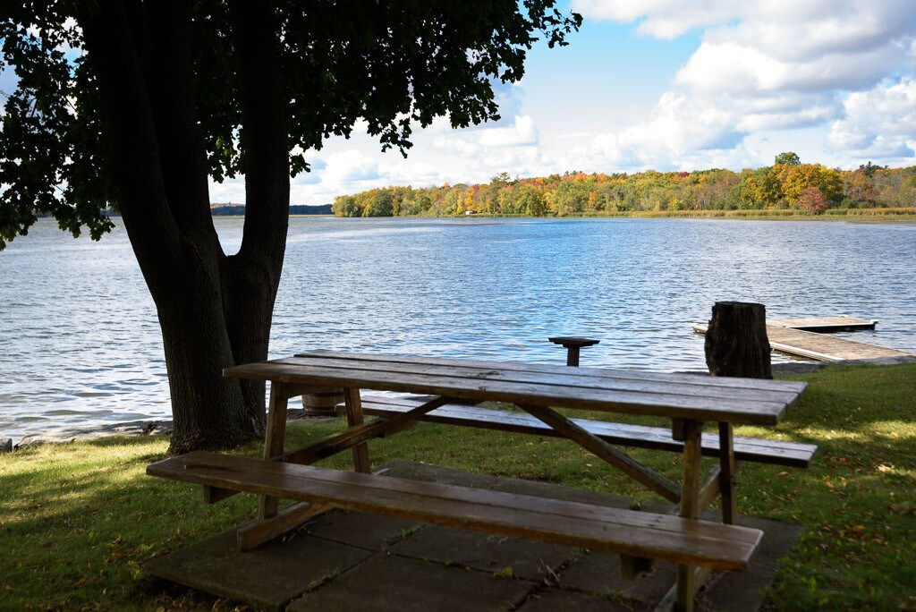 Private Lake Front Cottage on the Trent, 4 bdrm.