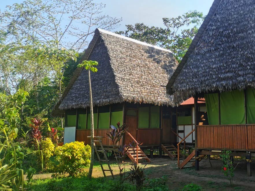 Tambopata Jaguarundi's inn