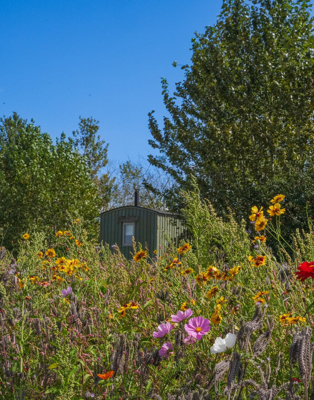 Shepherd's Hut by the Orchard 'Windfall'