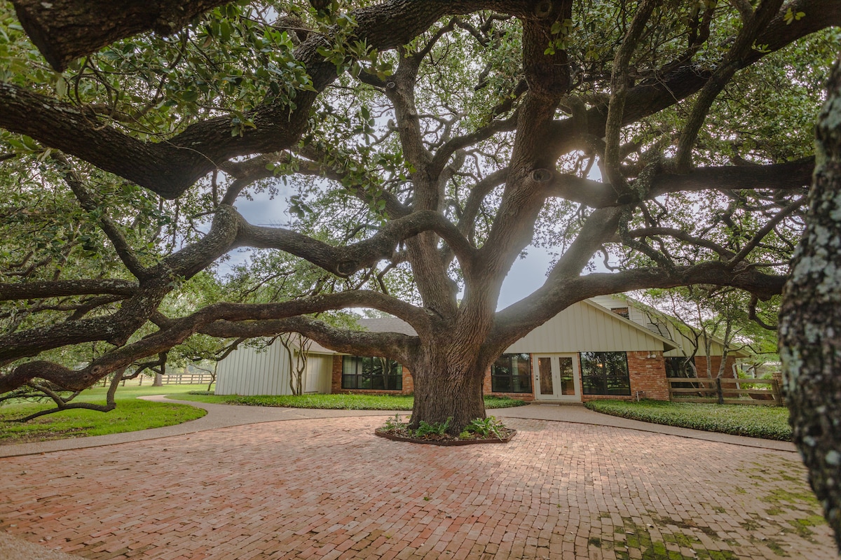 Oak Tree Country Manor w/ Pool