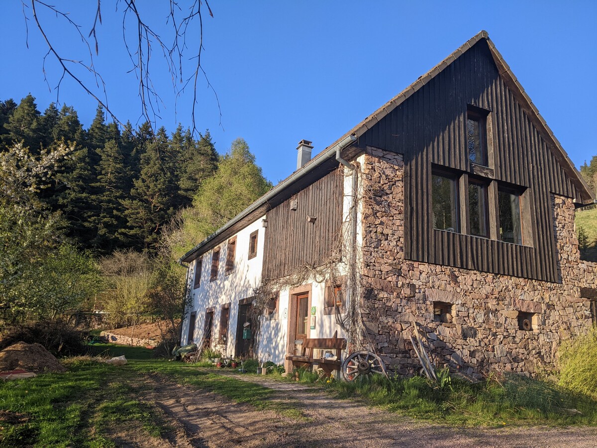 Ferme du petit Hohnack - Sauna et hammam