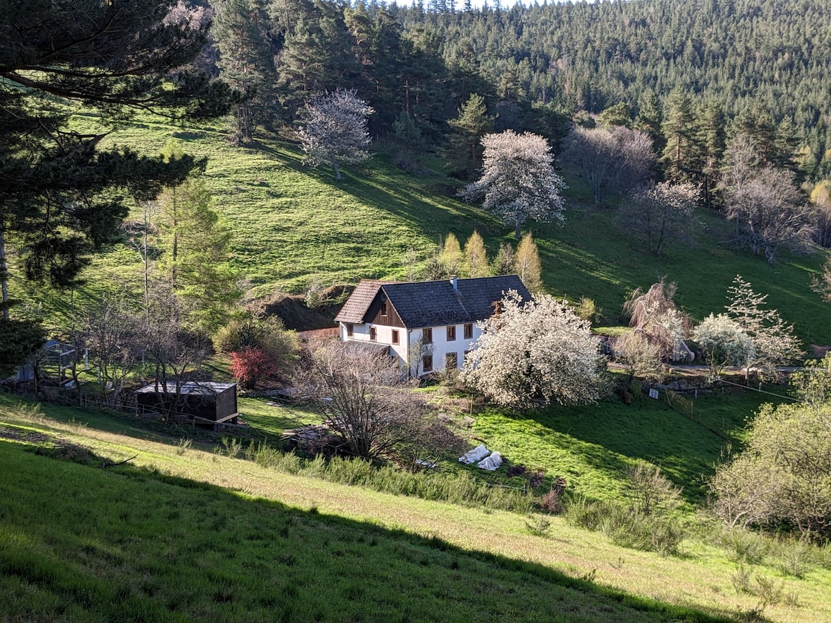 Ferme du petit Hohnack - Sauna et hammam