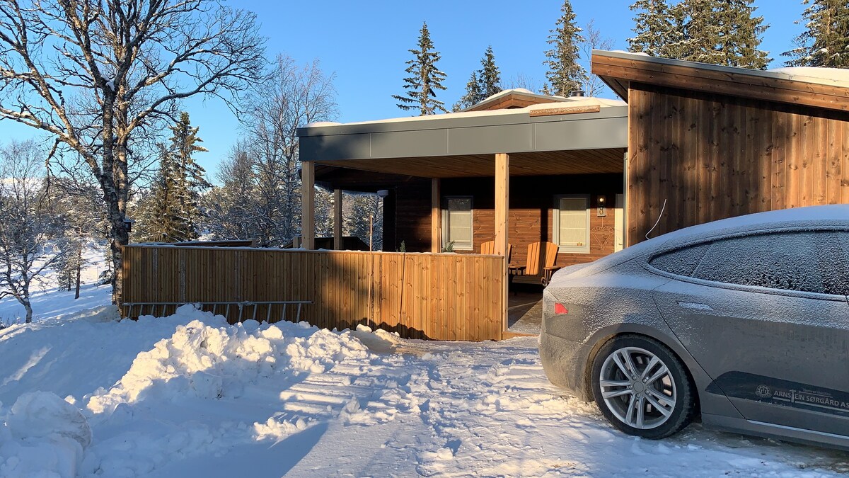 Familiekos på fjellet