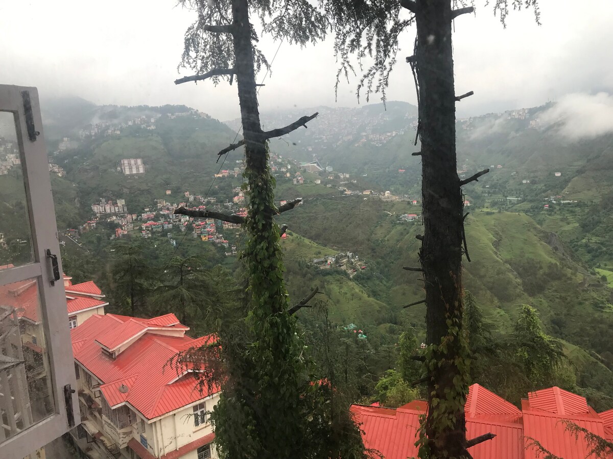 Jkvillashimla 
In pine forest