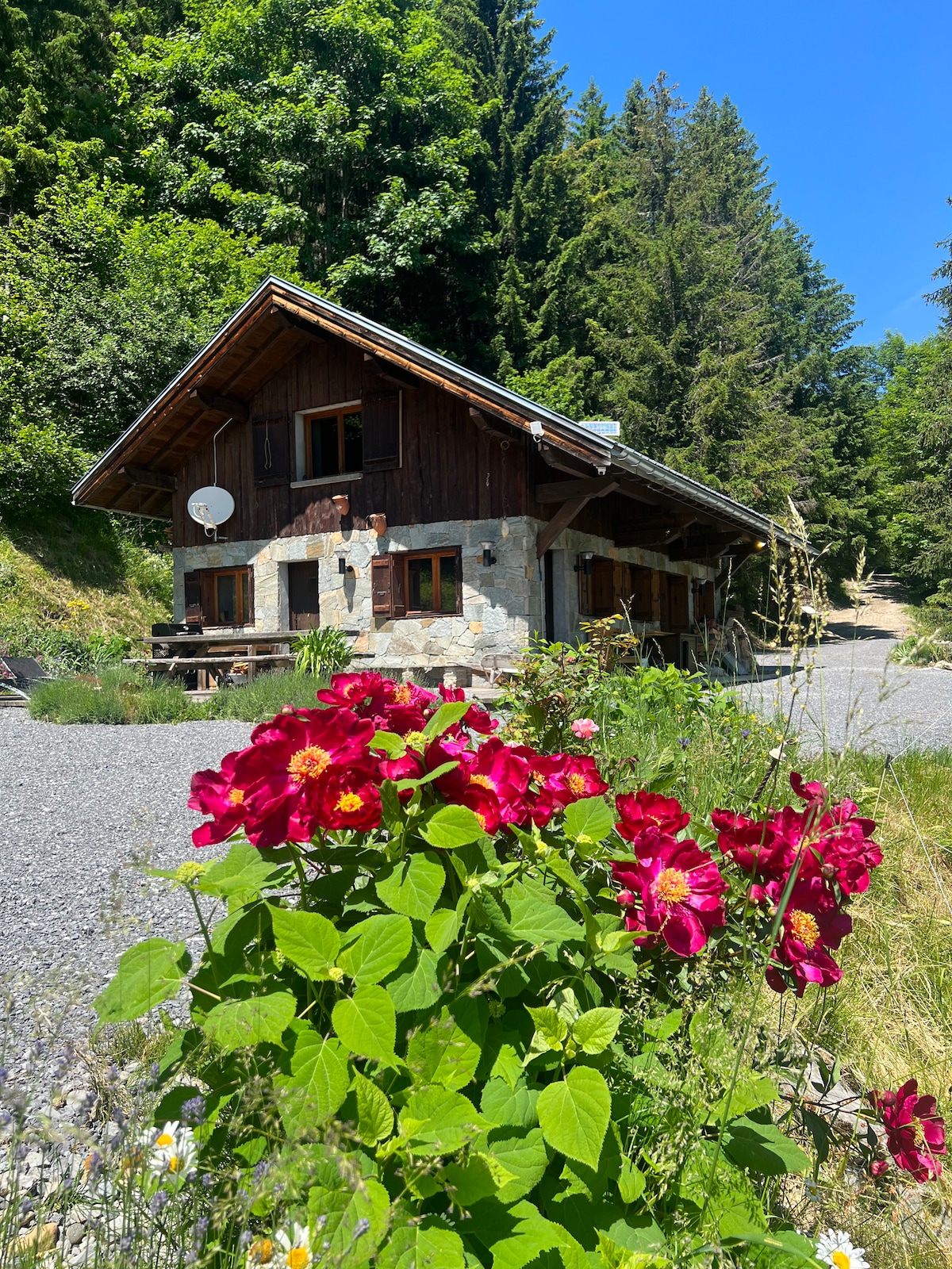 Chalet la Vardiaffe (avec sauna)